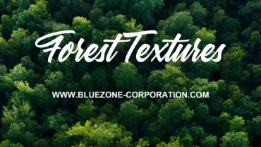 forest_textures_560X315.webp